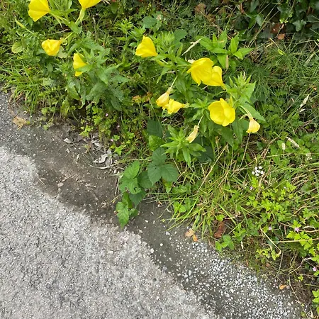 Golfing, Walking, Fishing Rest - Sleeps 8 Σπίτι διακοπών