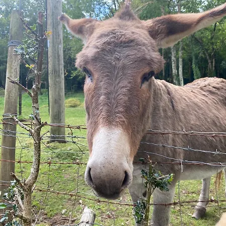 Σπίτι διακοπών Golfing, Walking, Fishing Rest - Sleeps 8 Γκάλγουεϊ