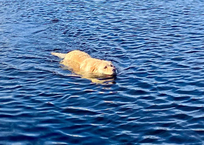 Prázdninový dům Golfing, Walking, Fishing Rest - Sleeps 8