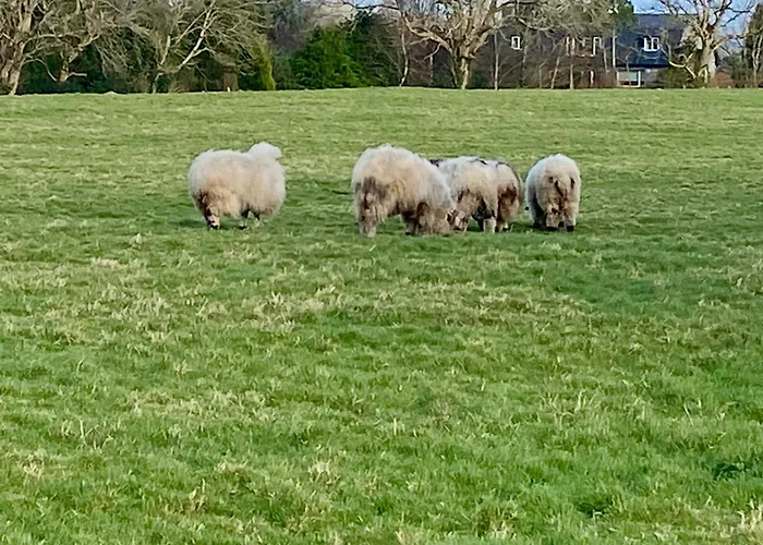 Golfing, Walking, Fishing Rest - Sleeps 8 Dom wakacyjny