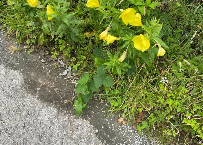 Golfing, Walking, Fishing Rest - Sleeps 8 Dom wakacyjny