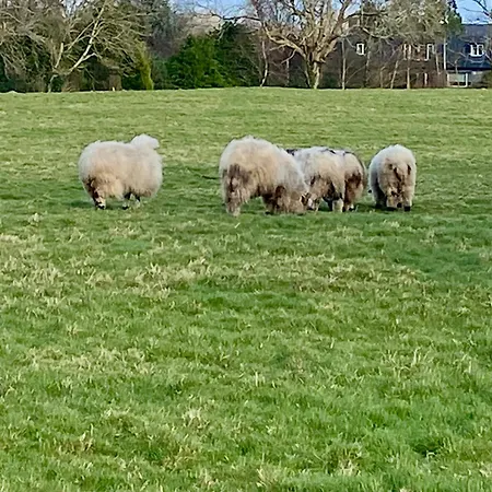 Golfing, Walking, Fishing Rest - Sleeps 8 Дом отдыха