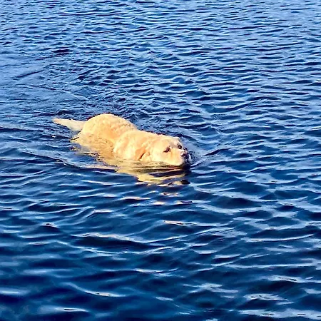 Дом отдыха Golfing, Walking, Fishing Rest - Sleeps 8